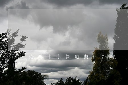 信用卡小额逾期17次 信用卡小额逾期17次