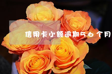 信用卡小额逾期56个月 信用卡小额逾期56个月