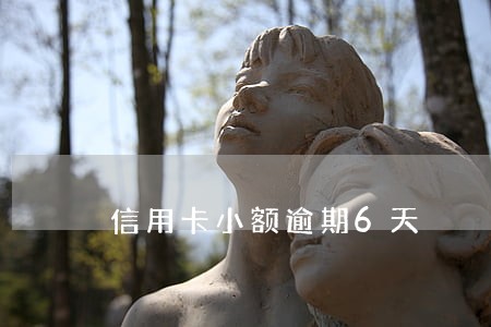 信用卡小额逾期6天 信用卡小额逾期6天