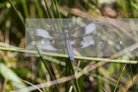 信用卡小额逾期94天 信用卡小额逾期94天