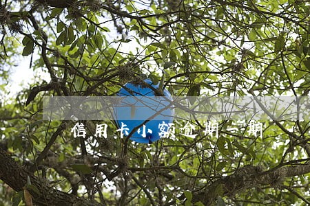 信用卡小额逾期一期 信用卡小额逾期一期