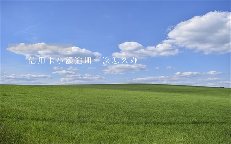 信用卡小额逾期一次怎么办