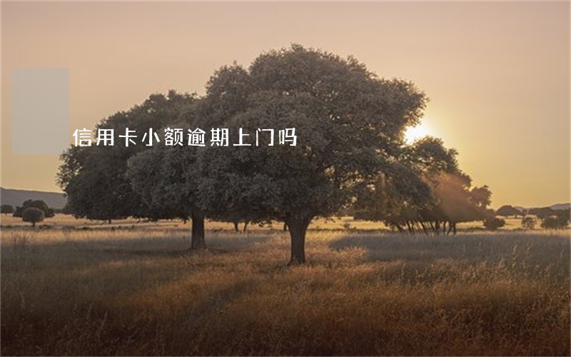 信用卡小额逾期上门吗 信用卡小额逾期上门吗