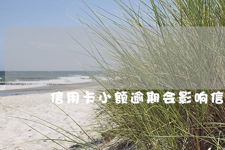 信用卡小额逾期会影响信用 信用卡小额逾期会影响信用