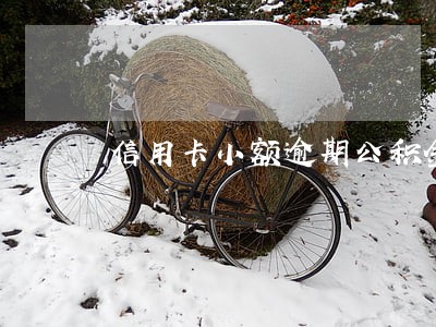 信用卡小额逾期公积金 信用卡小额逾期公积金