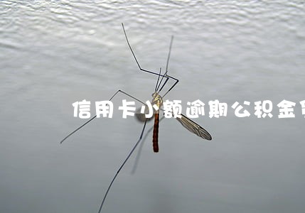 信用卡小额逾期公积金贷款