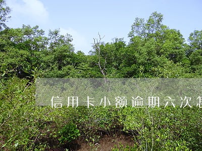 信用卡小额逾期六次怎么办 信用卡小额逾期六次怎么办
