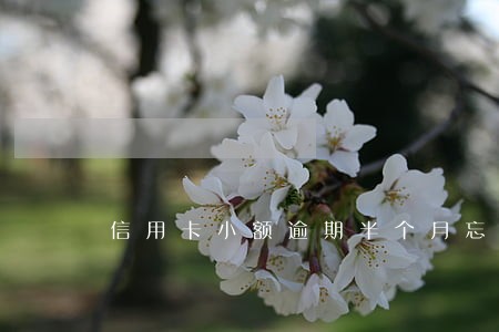 信用卡小额逾期半个月忘记还 信用卡小额逾期半个月忘记还