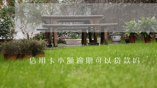 信用卡小额逾期可以贷款吗