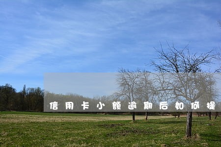 信用卡小额逾期后如何提额