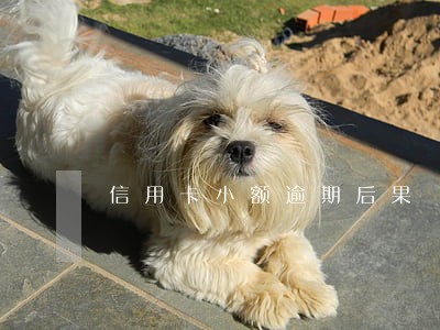 信用卡小额逾期后果