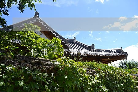 信用卡小额逾期多次