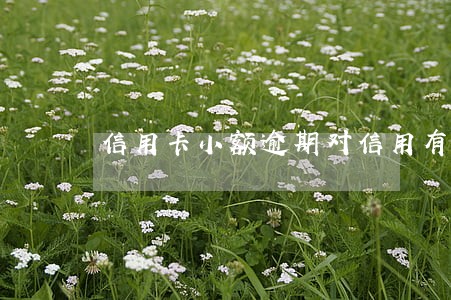 信用卡小额逾期对信用有影响吗