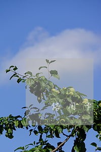 信用卡小额逾期封卡恢复