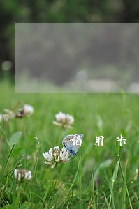 信用卡小额逾期影响征信多长时间