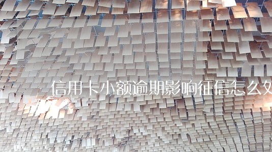信用卡小额逾期影响征信怎么处理