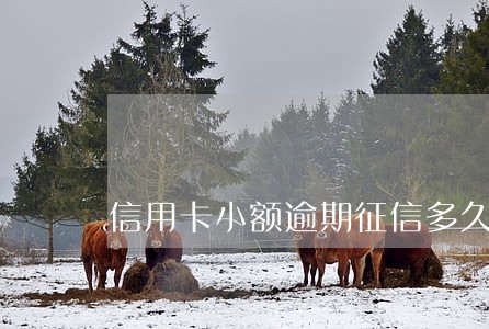 信用卡小额逾期征信多久取消 信用卡小额逾期征信多久取消
