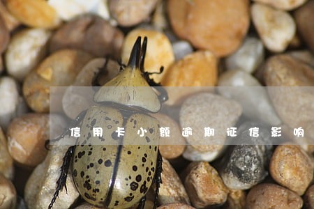 信用卡小额逾期征信影响大吗 信用卡小额逾期征信影响大吗