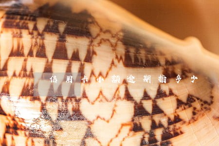 信用卡小额逾期指多少