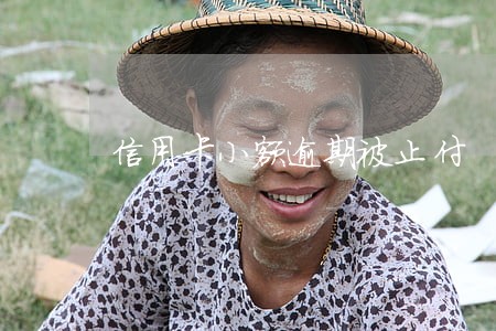 信用卡小额逾期被止付 信用卡小额逾期被止付