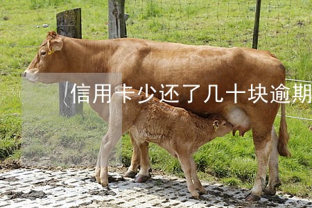 信用卡少还了几十块逾期了 信用卡少还了几十块逾期了