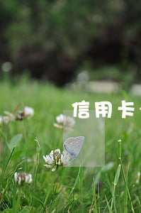 信用卡少还了钱算逾期吗 信用卡少还了钱算逾期吗