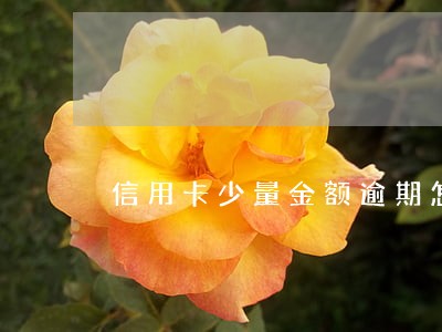 信用卡少量金额逾期怎么办 信用卡少量金额逾期怎么办