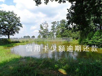 信用卡少额逾期还款 信用卡少额逾期还款