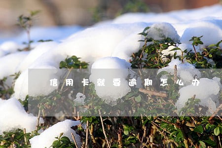 信用卡就要逾期怎么办