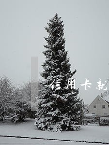 信用卡就逾期了一次影响大么 信用卡就逾期了一次影响大么