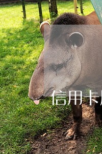 信用卡屡次逾期 信用卡屡次逾期