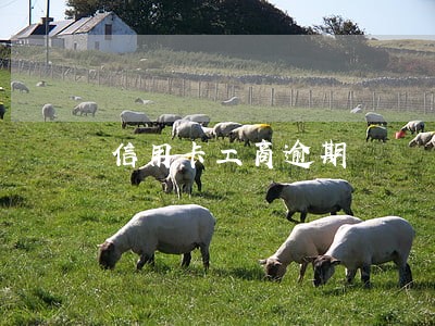 信用卡工商逾期 信用卡工商逾期