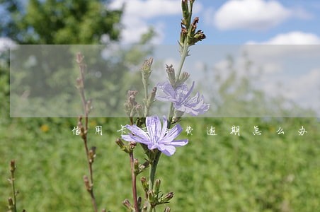 信用卡工本费逾期怎么办 信用卡工本费逾期怎么办