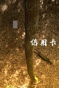 信用卡巨额逾期还不起怎么办 信用卡巨额逾期还不起怎么办