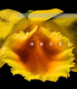 信用卡差2分没还算逾期 信用卡差2分没还算逾期