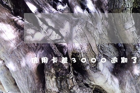 信用卡差3000逾期了 信用卡差3000逾期了