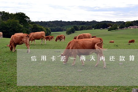 信用卡差一两天再还款算逾期吗