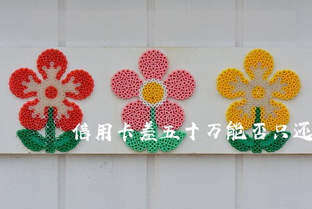 信用卡差五十万能否只还本金 信用卡差五十万能否只还本金
