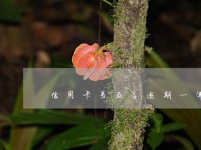 信用卡差五千逾期一年 信用卡差五千逾期一年