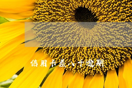 信用卡差八千逾期