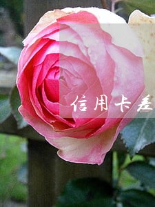 信用卡差几十块钱算逾期吗
