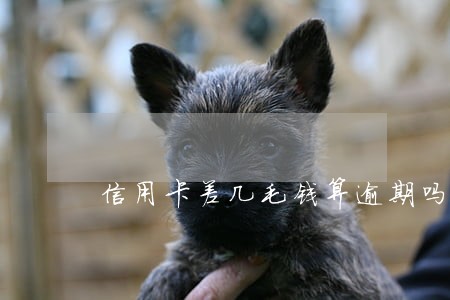 信用卡差几毛钱算逾期吗