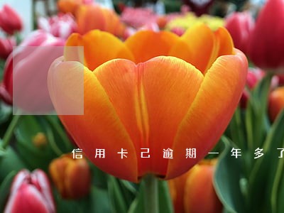 信用卡己逾期一年多了 信用卡己逾期一年多了
