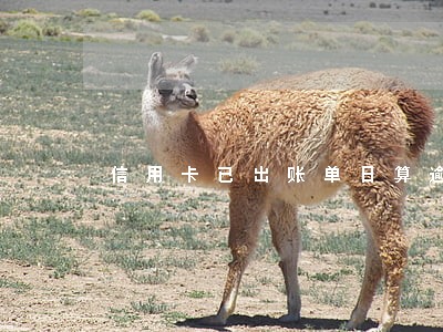 信用卡已出账单日算逾期吗 信用卡已出账单日算逾期吗