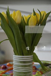 信用卡已挂失逾期的100元 信用卡已挂失逾期的100元