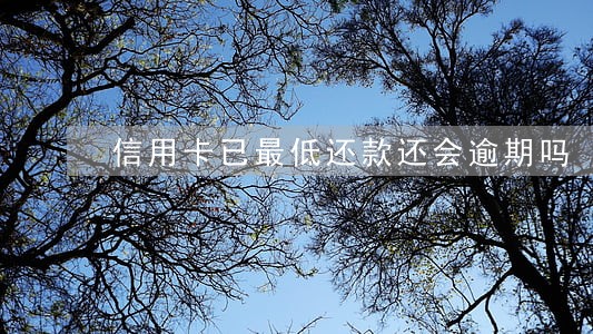 信用卡已最低还款还会逾期吗 信用卡已最低还款还会逾期吗