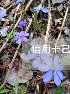 信用卡已注销征信报告有显示逾期