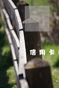 信用卡已经全面逾期 信用卡已经全面逾期