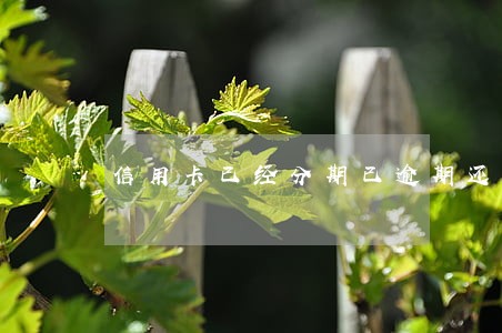 信用卡已经分期已逾期还能协商吗 信用卡已经分期已逾期还能协商吗