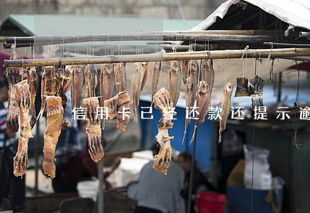 信用卡已经还款还提示逾期
